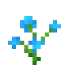 Blaue Orchidee