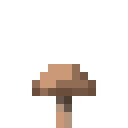 Brauner Pilz
