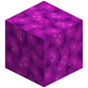 Blasenkorallenblock