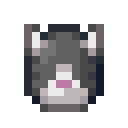Katze