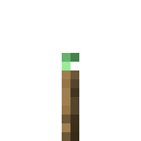 Kupferfackel