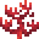 Feuerkoralle