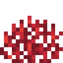 Feuerkorallenfächer