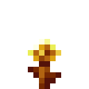 Goldener Löwenzahn