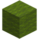 Grüne Wolle