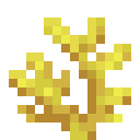 Geweihkoralle