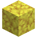 Geweihkorallenblock