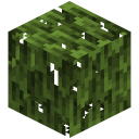 Mangrovenlaub