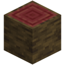 Mangrovenstamm