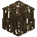 Mangrovenwurzeln