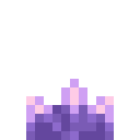 Mittlere Amethystknospe