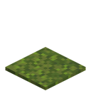Moosteppich