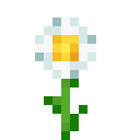 Margerite