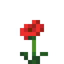 Mohn