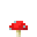 Roter Pilz