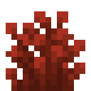 Roter Strauch