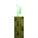 Meeresgurke