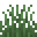 Niedriges Gras