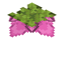 Sporenblüte