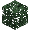Fichtennadeln