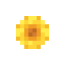 Sonnenblume