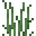 Hohes Gras