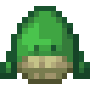 Schildkröte